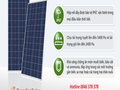 Pin mặt trời Canadian Poly 325wp, Pin mặt trời Poly 325wp